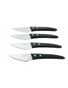 Set 4 cuchillos 22 cm